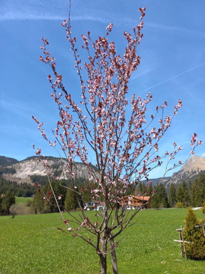 그란 Am Schwand 아파트 외부 사진